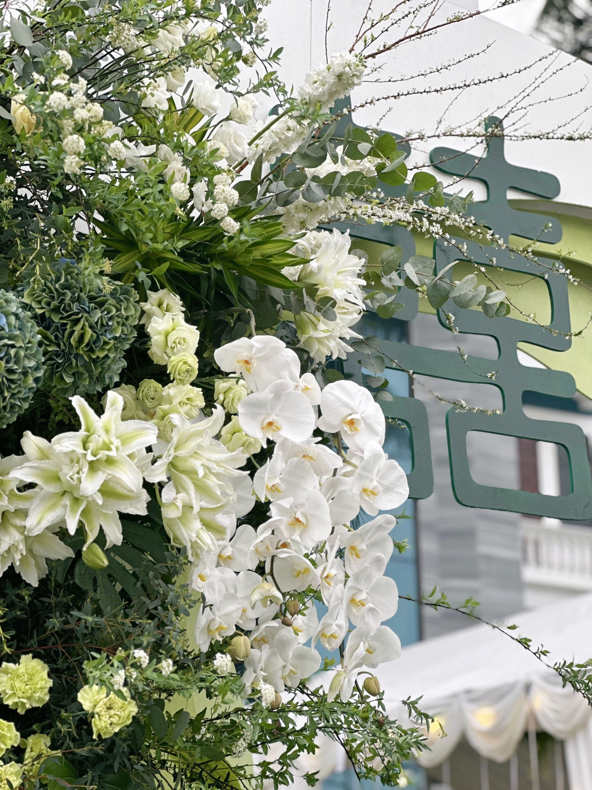 {"ARInfo":{"IsUseAR":false},"Version":"1.0.0","MakeupInfo":{"IsUseMakeup":false},"FaceliftInfo":{"IsChangeEyeLift":false,"IsChangeFacelift":false,"IsChangePostureLift":false,"IsChangeNose":false,"IsChangeFaceChin":false,"IsChangeMouth":false,"IsChangeThinFace":false},"BeautyInfo":{"SwitchMedicatedAcne":false,"IsAIBeauty":false,"IsBrightEyes":false,"IsSharpen":false,"IsOldBeauty":false,"IsReduceBlackEyes":false},"HandlerInfo":{"AppName":2},"FilterInfo":{"IsUseFilter":false}}